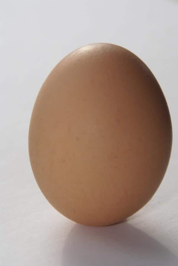comer 5 huevos por la mañana para bajar de peso