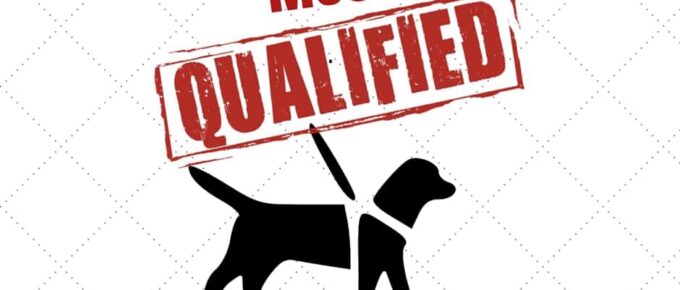3 Reasons Why Your God's Most Qualified Guide Dog