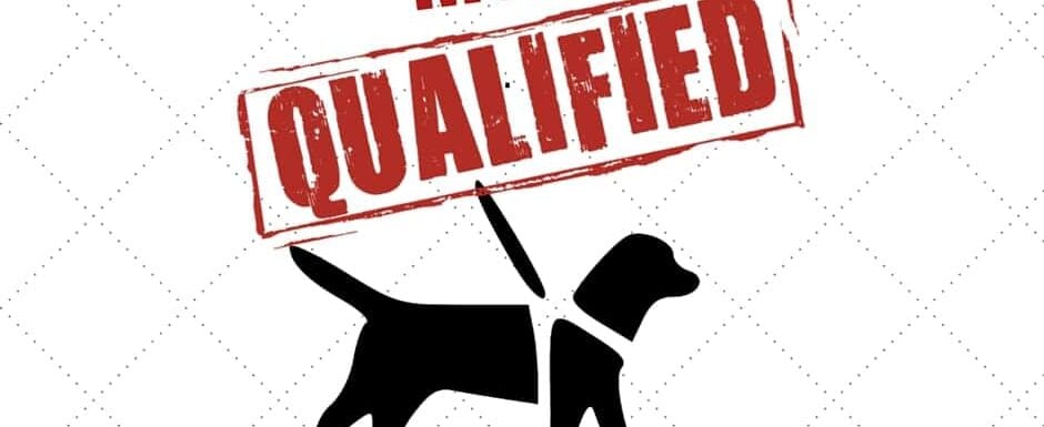 3 Reasons Why Your God's Most Qualified Guide Dog