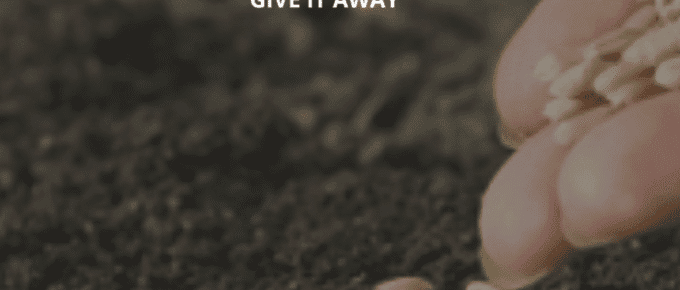 Need it? Sow It!